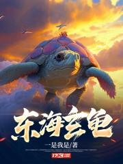 东海玄龟 东海玄龟